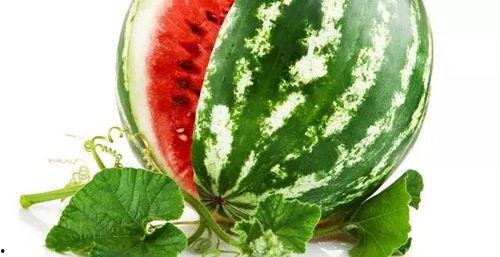 网红大瓜排行 每日大赛,每日大赛盘点，热点事件一网打尽！