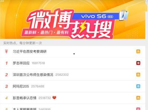 网红大瓜下载.社会热点事件素材