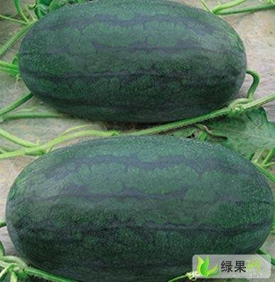 热门大瓜汇总 黑瓜,热门事件深度剖析